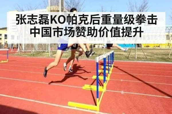 张志磊KO帕克后重量级拳击中国市场赞助价值提升